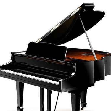 学琴小方法34--钢琴中共有八种基本技术问题