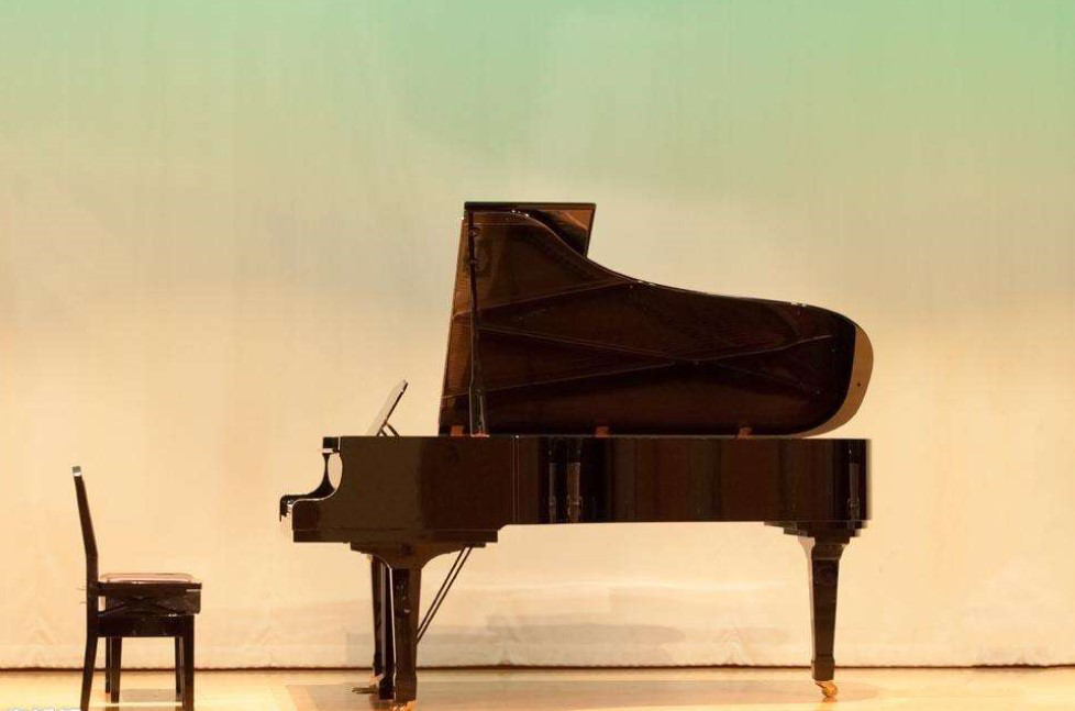 西安佩卓夫韦恩巴赫钢琴专卖店分享钢琴调律师的重要性