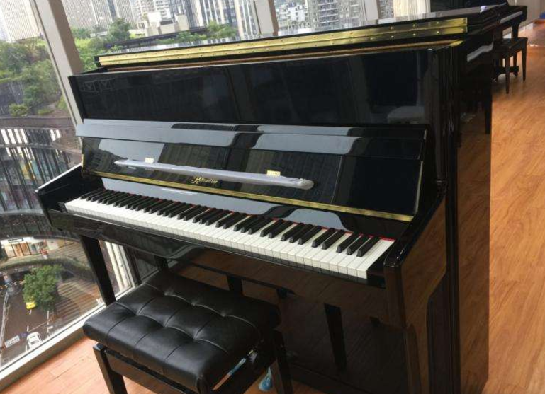 西安珠江钢琴销售中心分享钢琴家毛里奇奥·波利尼
