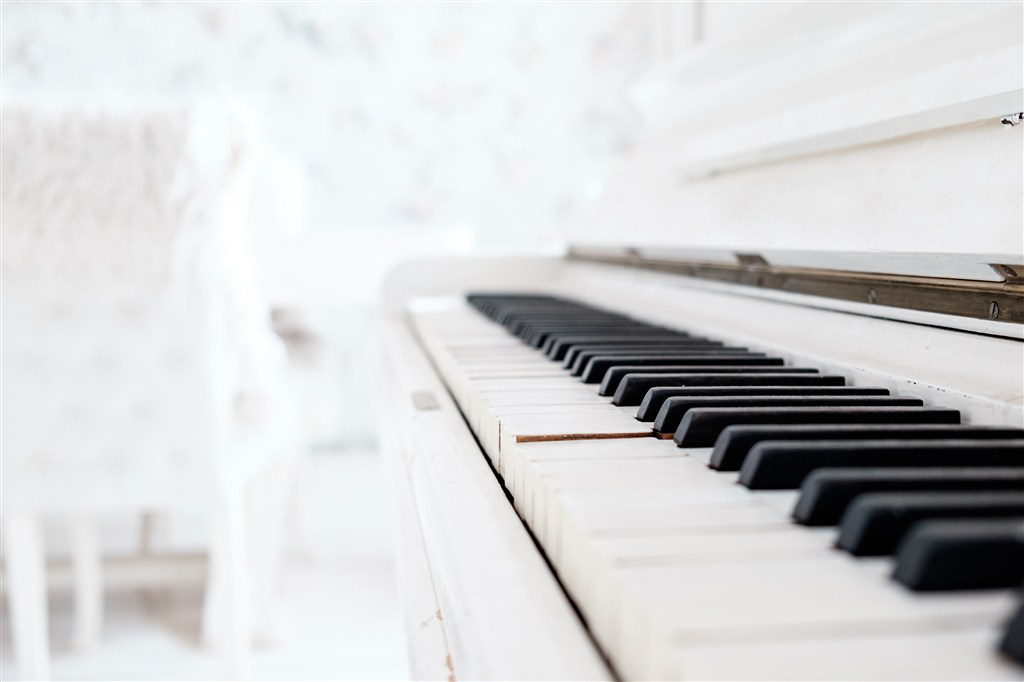 西安佩卓夫韦恩巴赫钢琴专卖店分享钢琴保养的重点