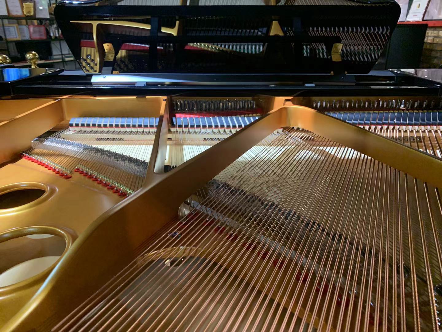 凯撒堡钢琴的弹奏知识，怎么练好一首乐曲？