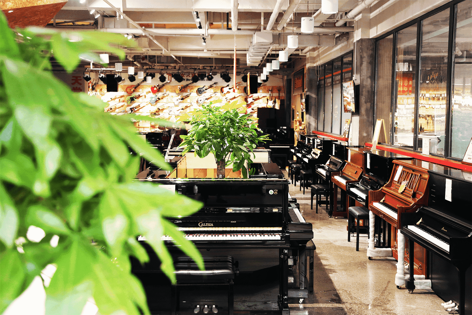 西安地区有没有比较大的钢琴销售网点？北京珠江钢琴适合艺考么？